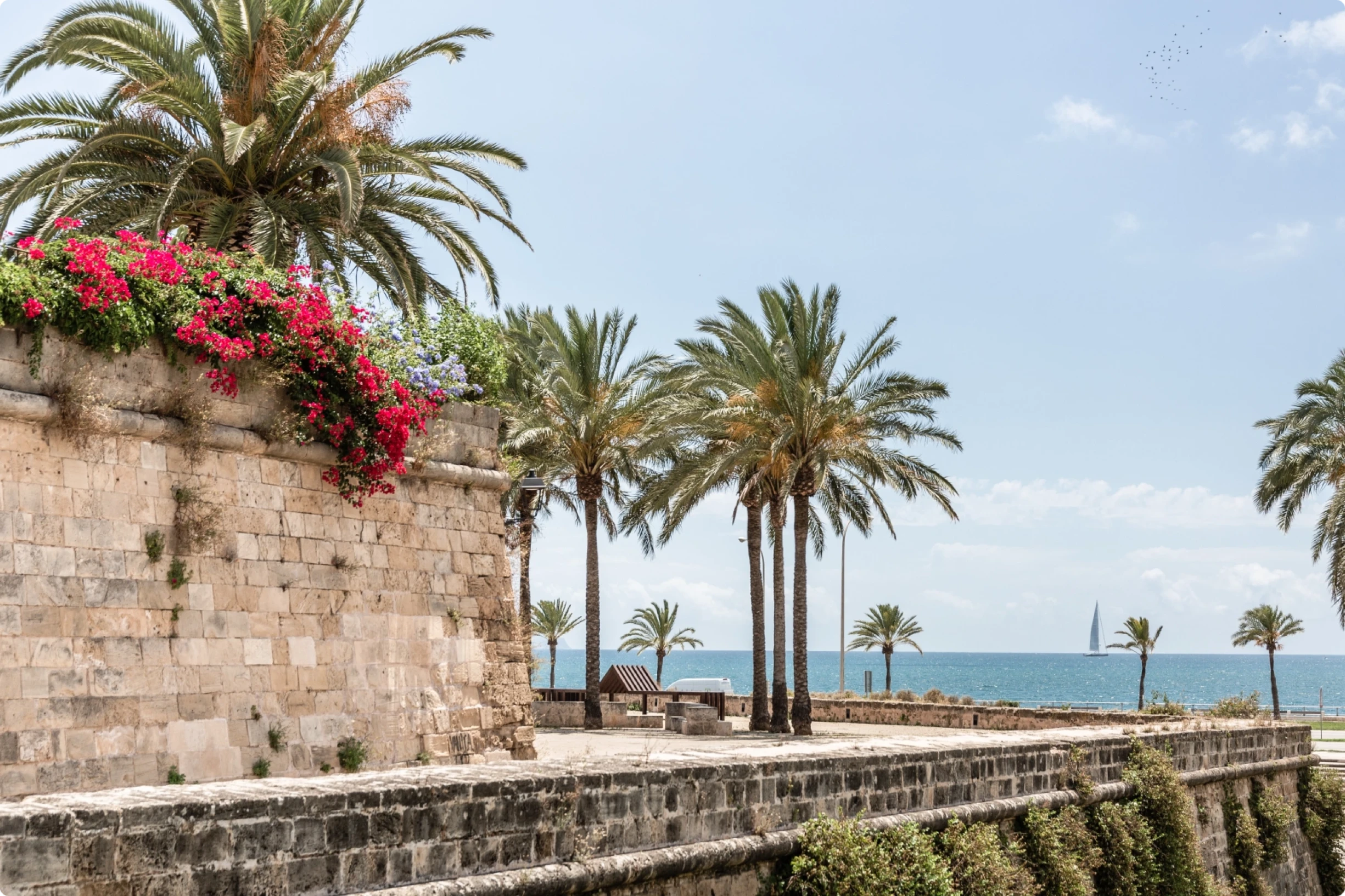 Paseo marítimo con árboles y plantas
