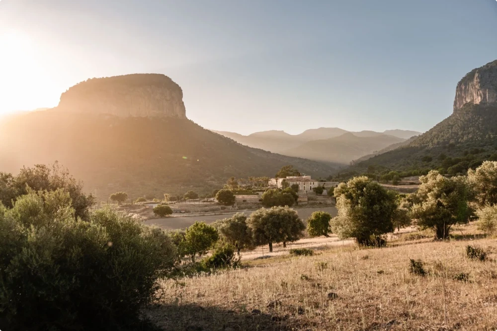 El campo de Alaró, con montañas, campos y una masía bañada por la cálida luz del sol.