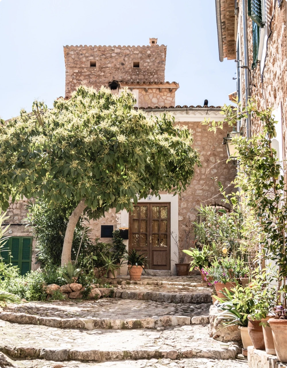 Vista frontal de una propiedad con un árbol