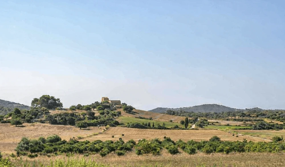 Terrenos agrícolas y paisaje mediterráneo en Manacor