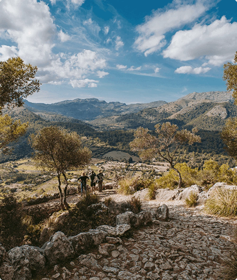 Excursionistas en un sendero de piedra con vistas a un frondoso valle verde y a las montañas cerca de Pollença.