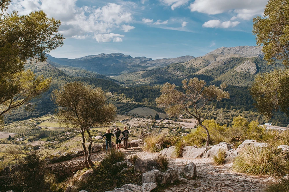 Tres excursionistas en un sendero de montaña con vistas a un frondoso valle y escarpadas cumbres en Pollensa.